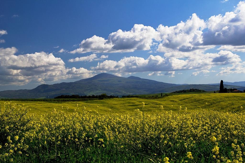 Casetta Del Pozzo Seggiano Chambre photo
